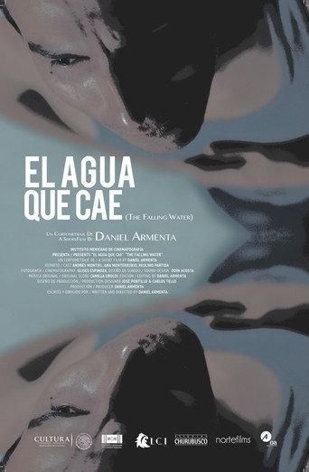The Falling Water (2019) poster