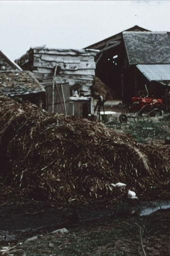 The Mud House (1972) poster