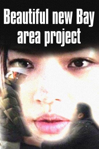 Beautiful New Bay Area Project (2013) poster
