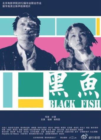 黑鱼 () poster