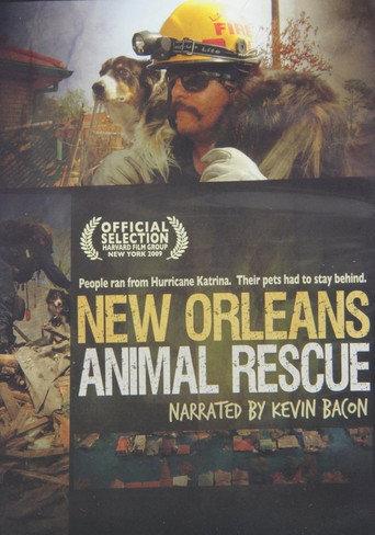 New Orleans Animal Rescue (2009) poster