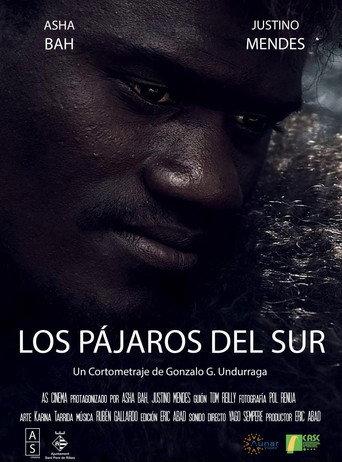 Los Pájaros del Sur (2020) poster