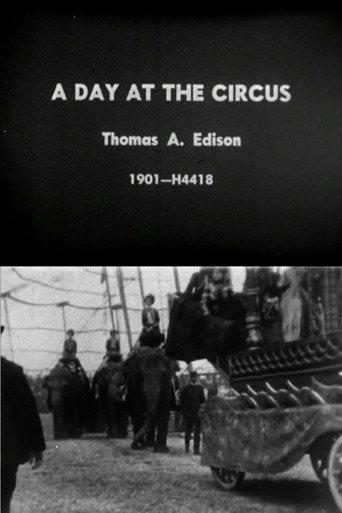 Day at the Circus (1901) poster