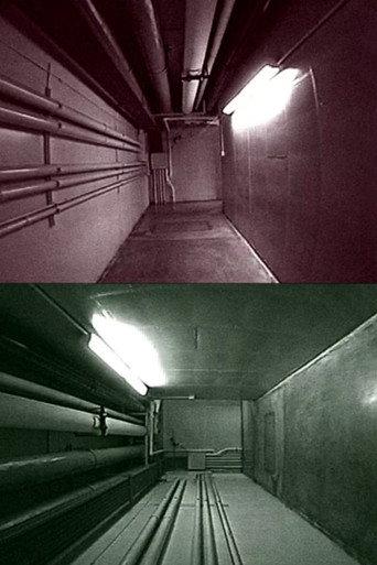 Meandering Modules (2010) poster