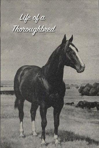 Life of a Thoroughbred (1941) poster