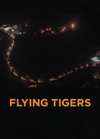 Flying Tigers (2026) poster