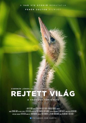 Hidden World: The Story of Hungary's Wild Waters (2023) poster