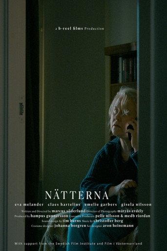 At Night () poster