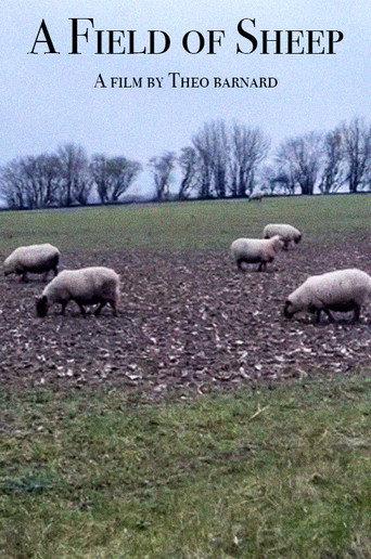 A Field of Sheep (2024) poster