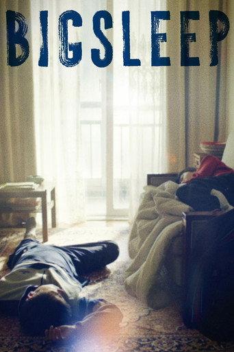 Big Sleep (2023) poster