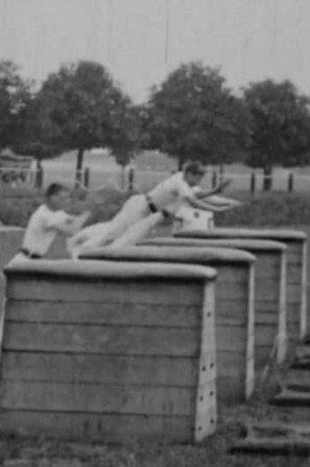 Vaulting Horse Display (1900) poster