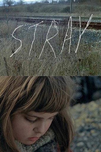 Stray (2013) poster