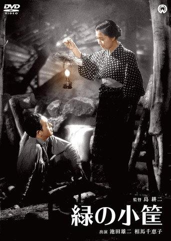 The Little Green Box (1947) poster