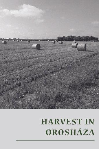 Harvest in Orosháza (1953) poster