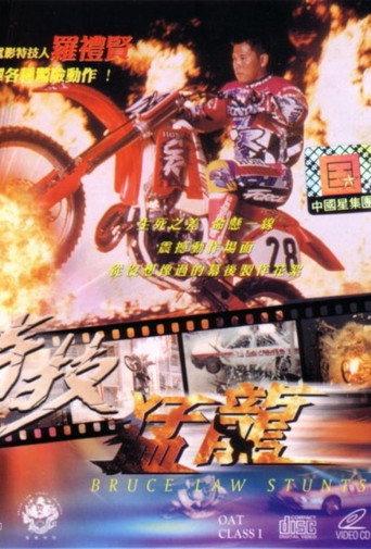 Bruce Law Stunts (2000) poster