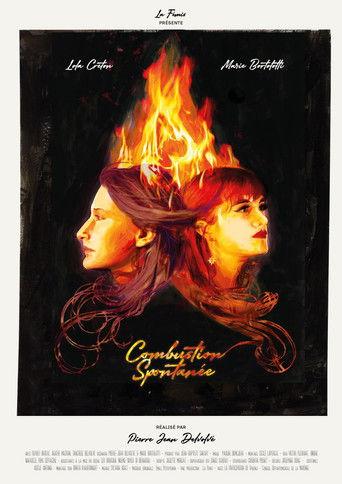 Spontaneous Combustion (2020) poster