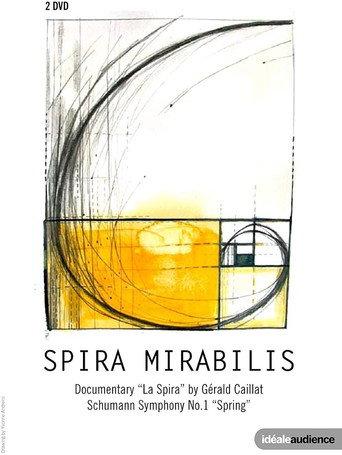 La Spira (2012) poster