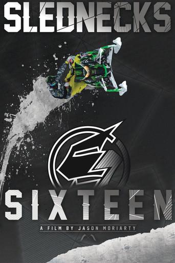 Slednecks 16 (2013) poster