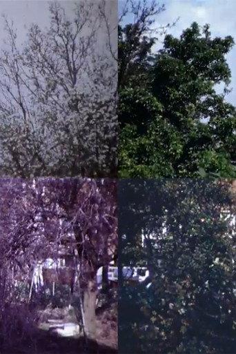 From Four Seasons (1977) poster