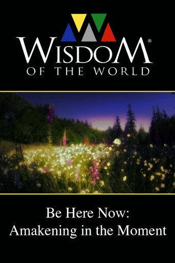 Be Here Now: Awakening In the Moment (2011) poster