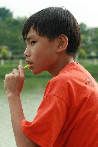 Chicken Rice Mystery (2008) poster