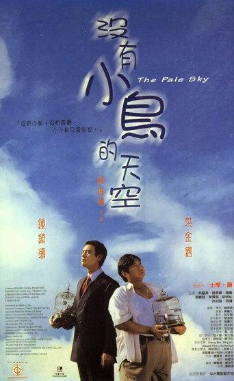 The Pale Sky (1998) poster