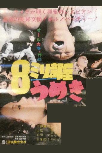 8mm Room Moaning (1971) poster