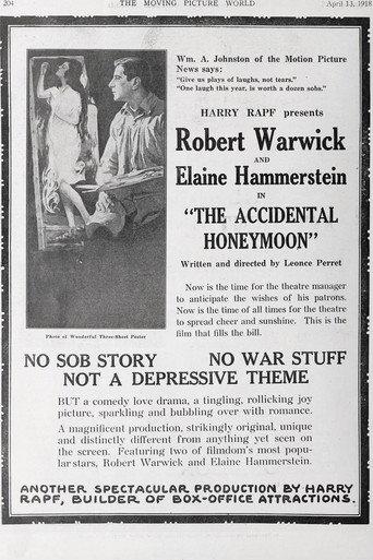 The Accidental Honeymoon (1918) poster
