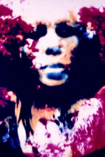 Cibernetik 5.3 (1969) poster
