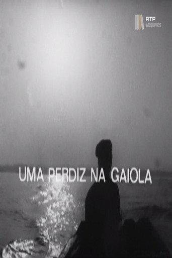 Uma Perdiz na Gaiola (1976) poster