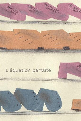 The Perfect Equation () poster