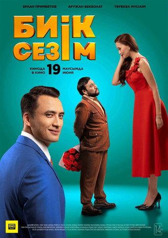 High Feelings () poster