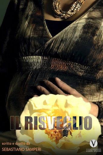 Il risveglio () poster