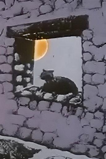 The Chameleon Cat (1975) poster