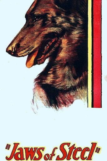 Jaws of Steel (1927) poster