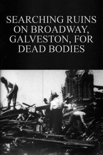 Searching Ruins on Broadway, Galveston, for Dead Bodies (1900) poster