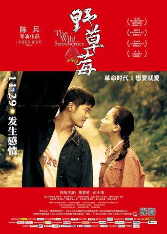 野草莓 () poster
