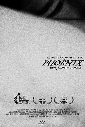 Phoenix () poster
