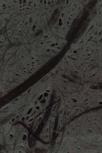 Ecosystem 6 ~ A Sort of Mycelium (1989) poster