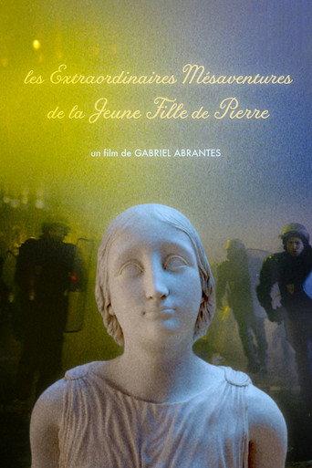 The Marvelous Misadventures of the Stone Lady (2019) poster