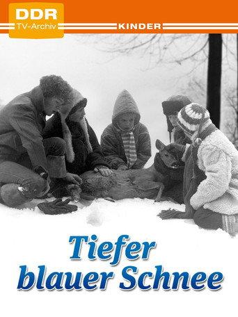 Deep Blue Snow (1981) poster