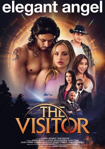 The Visitor (2024) poster