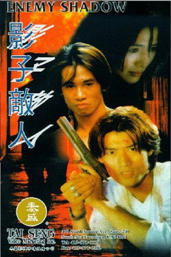Enemy Shadow (1995) poster