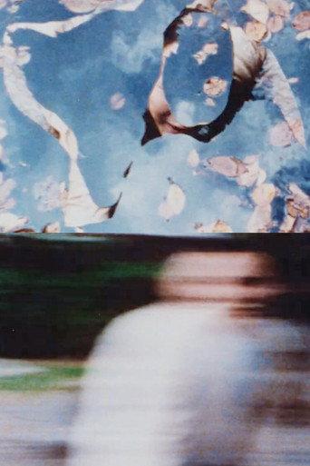 KILLER CAMERA (1996) poster