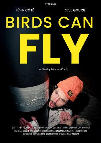 Birds can fly () poster