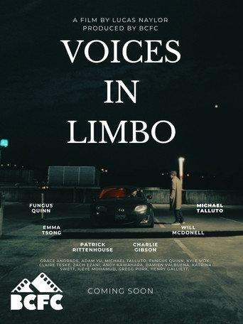 Voices In Limbo () poster