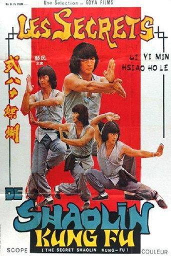 The Secret Shaolin Kung-Fu (1979) poster