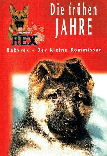 Baby Rex (1997) poster
