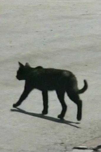 Traversée de chat (2000) poster