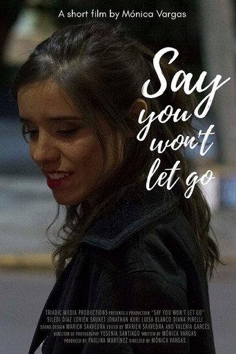 Say You Won't Let Go () poster